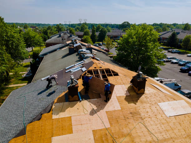 Best Roof Repair Services  in Millersport, OH