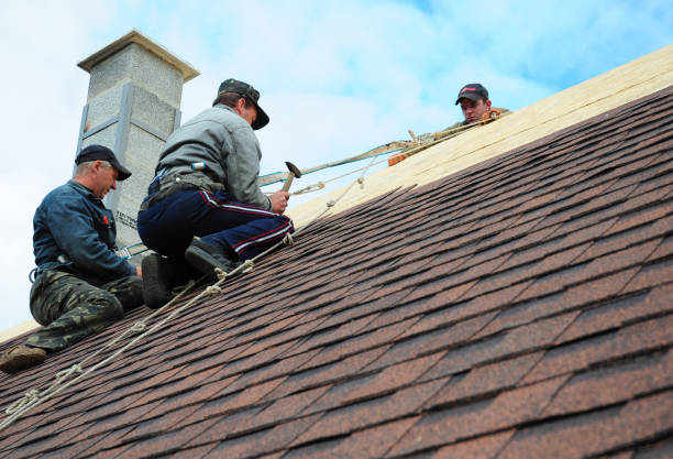 Best Roof Gutter Cleaning  in Millersport, OH